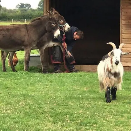 The Barn Апартаменты